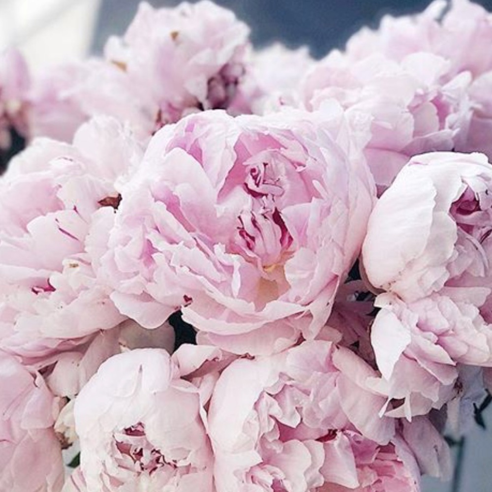 Meet your Posher, Leslie